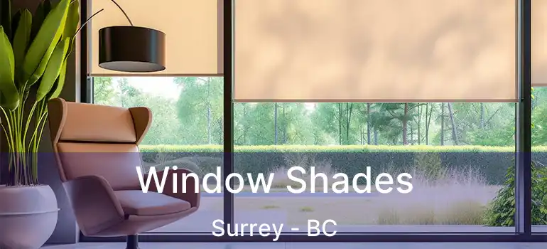  Window Shades Surrey - BC