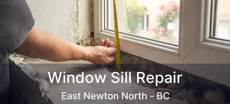  Window Sill Repair East Newton North - BC