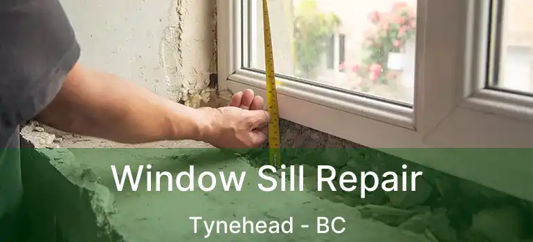  Window Sill Repair Tynehead - BC