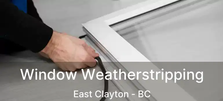  Window Weatherstripping East Clayton - BC