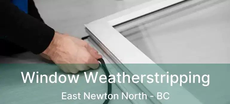  Window Weatherstripping East Newton North - BC