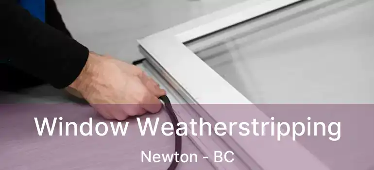  Window Weatherstripping Newton - BC