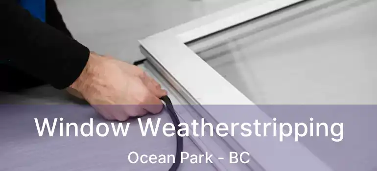  Window Weatherstripping Ocean Park - BC