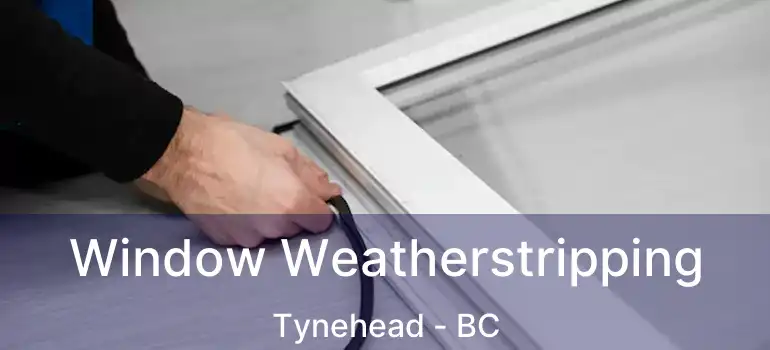  Window Weatherstripping Tynehead - BC