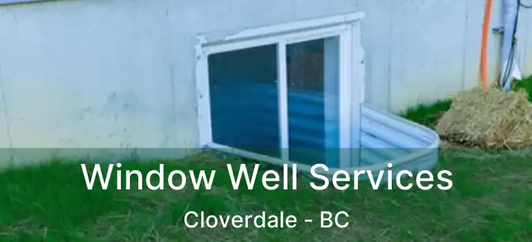  Window Well Services Cloverdale - BC
