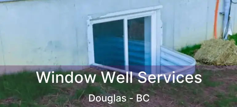  Window Well Services Douglas - BC