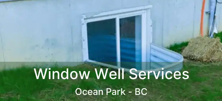  Window Well Services Ocean Park - BC
