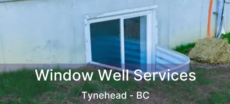  Window Well Services Tynehead - BC